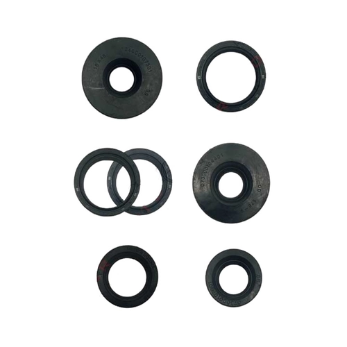 Набор сальников" Восход"большой