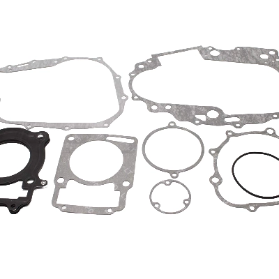 Набор прокладок  двигателя  ZS172FMM-5 PR250