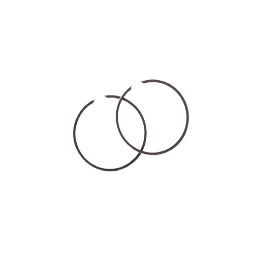 Кольца Suzuki (АD) 0.50