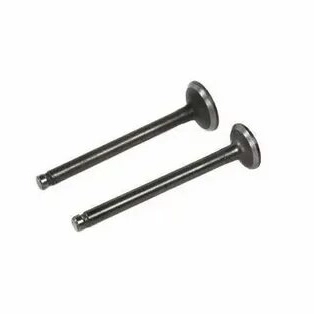 Клапана 4-х такт 80 см3 68,5 мм/69,4 длинные