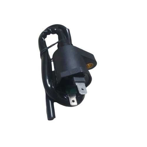 Катушка зажигания 4-х такт. на две фишки 