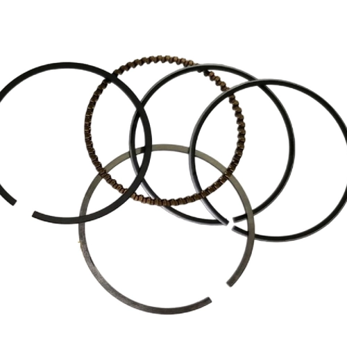 Кольца 4-х такт 100 см 00002250