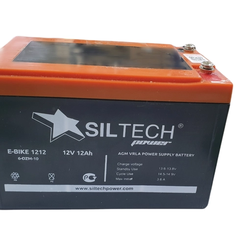 Аккумулятор E-BIKE (6-DZM-10) 12V12Ah