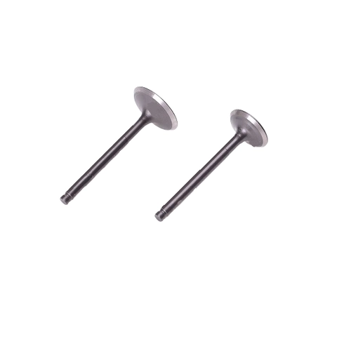 Клапана 4-х такт 150см3 скутер (голые) 