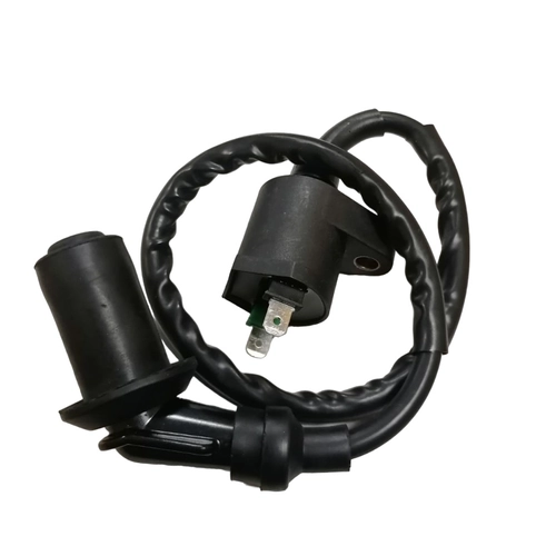 Катушка зажигания на 4-х тактный на две фишки+ надсвечник 00000917