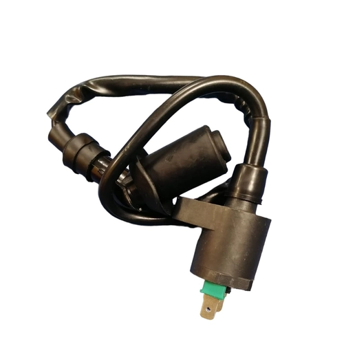 Катушка зажигания 4-х такт. на две фишки  с надсвечником F6