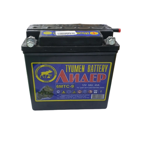 Аккумулятор Тюмень  9А 12В 6МТС-9 Лидер, болт