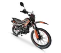 Мотоцикл Regulmoto Grizzly (PR300)
