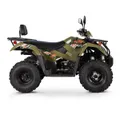 Квадрицикл KAYO AU300 Carb (ПТС)