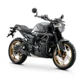 Мотоцикл ZONTES ZT200-G1 (4T ZT163ML EFI) 17/17 ПТС