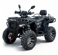 Квадроцикл APAKANI ATV SS200-5 (Bully 200)
