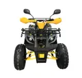 Квадроцикл VMC Тao Тao ATV 125 (120cc)