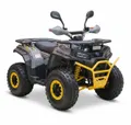 Квадроцикл TBM Thunder 150