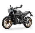 Мотоцикл ZONTES ZT200-G1 (4T ZT163ML EFI) 17/17 ПТС