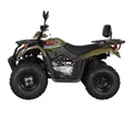 Квадрицикл KAYO AU200 со спинкой ПТС