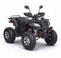 Квадроцикл GRIZZLY 200cc 