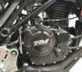 Мотоцикл Regulmoto Nibbler 300 4V