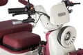 Трицикл электрический Gelbert Mercury 48V/60V 650Вт