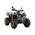 Комплект для сборки Квадроцикл VMC Tao Tao ATV 200 (180сс)