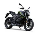 Мотоцикл VMC Ruch 300 (BY250GY-А) СЕРИЯ ZS3000 