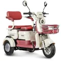 Трицикл электрический Rutrike Gelbert Mercury 48V/60V 650Вт