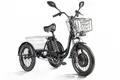 Трицикл электрический Eltreco Porter Fat 500 UP