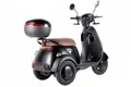 Трицикл электрический Rutrike Радиус