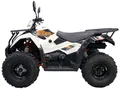 Квадрицикл KAYO AU300 EFI