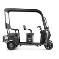 Трицикл электрический Rutrike Gelbert Bos 48V/60V 800Вт