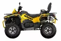 Квадроцикл STELS ATV010 (ТE)