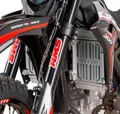 Мотоцикл Regulmoto CR-Z 350 