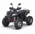 Квадроцикл GRIZZLY 200cc 