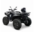 Снегоболотоход Segway AT10 W Standart 