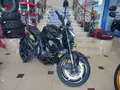 Мотоцикл ZONTES ZT350-R1 EFI 17/17 