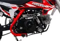 Питбайк Progasi Kids Power 110 (12/10)