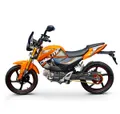 Мопед Alpha Champ 150