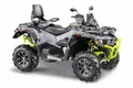 Квадроцикл STELS ATV010 (ТE)