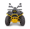 Квадроцикл TBM Thunder 150