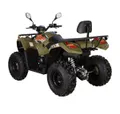 Квадрицикл KAYO AU300 Carb (ПТС)