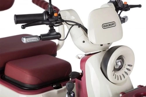 Трицикл электрический Rutrike Gelbert Mercury 48V/60V 650Вт