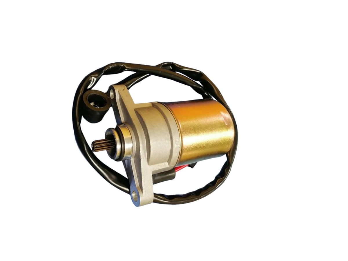 Стартер 4-х такт 50*80 см3 00000845