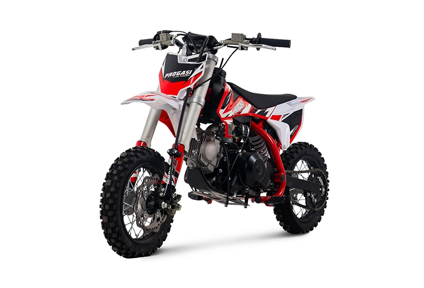 Питбайк Progasi Kids Power 110 (10/10)