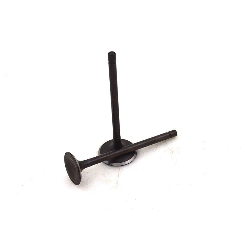 Клапана 4-х тактный 150см3 скутер голые GY000066