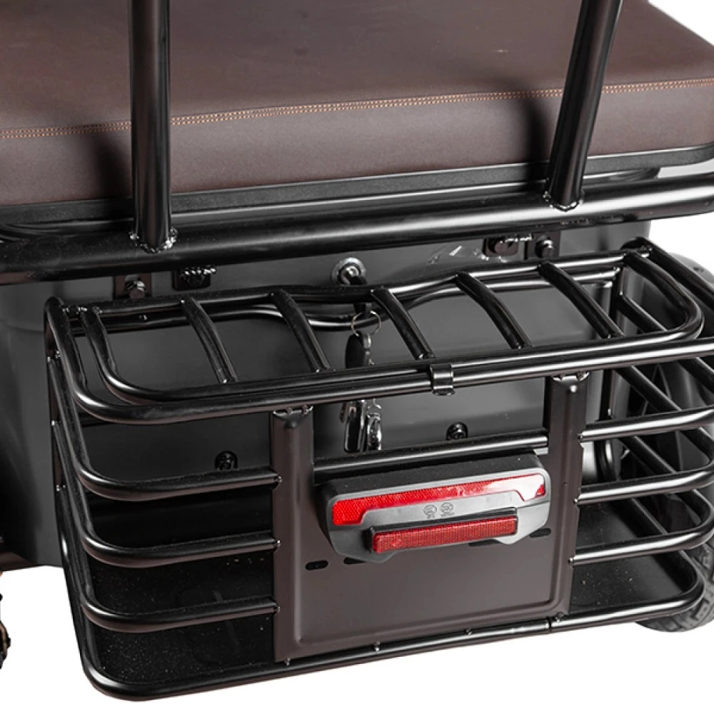 Трицикл электрический Gelbert Bos 48V/60V 800Вт