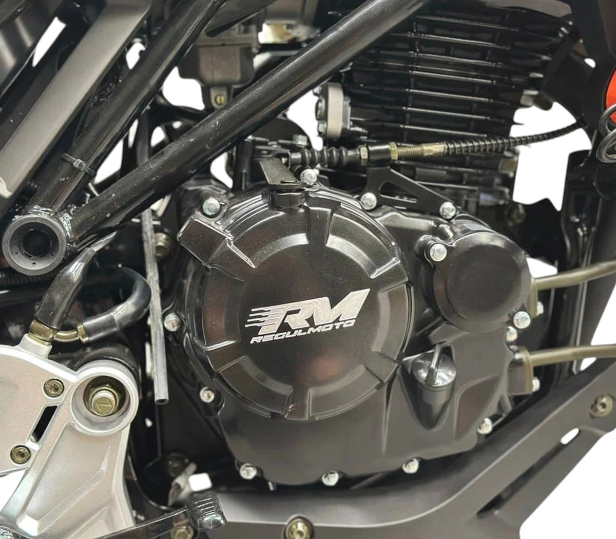 Мотоцикл Regulmoto Nibbler 300 4V