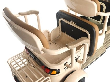 Трицикл электрический Gelbert Atlas 48V/60V 600Вт