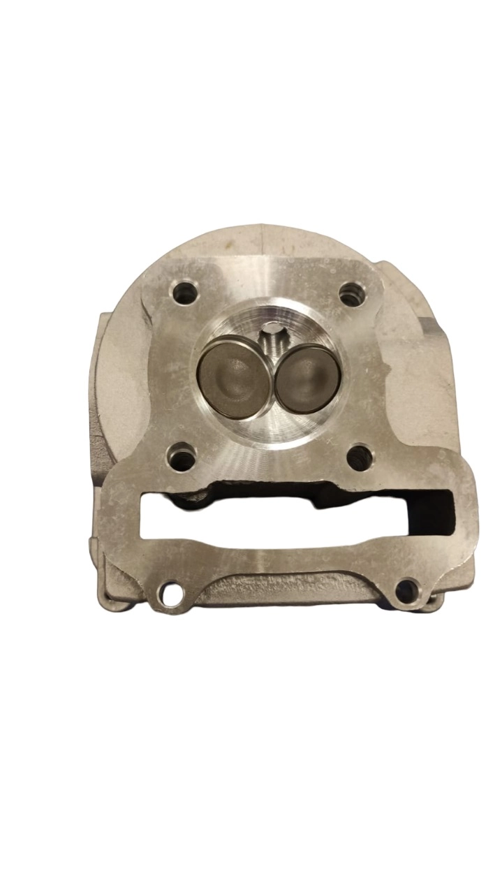 Головка 4-хтакт 80 см3 + клапана SEE 2100351