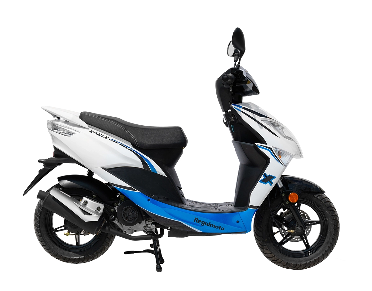 Скутер Regulmoto EAGLE 50 (80) LJ50QT-3L R12 100021/1