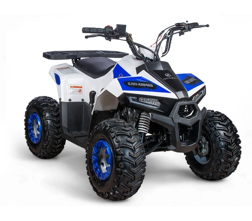 Квадроцикл Yacota Raposa 110