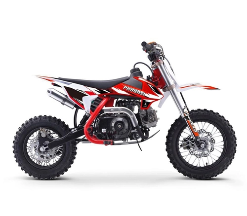 Питбайк Progasi Kids Power 110 (12/10)
